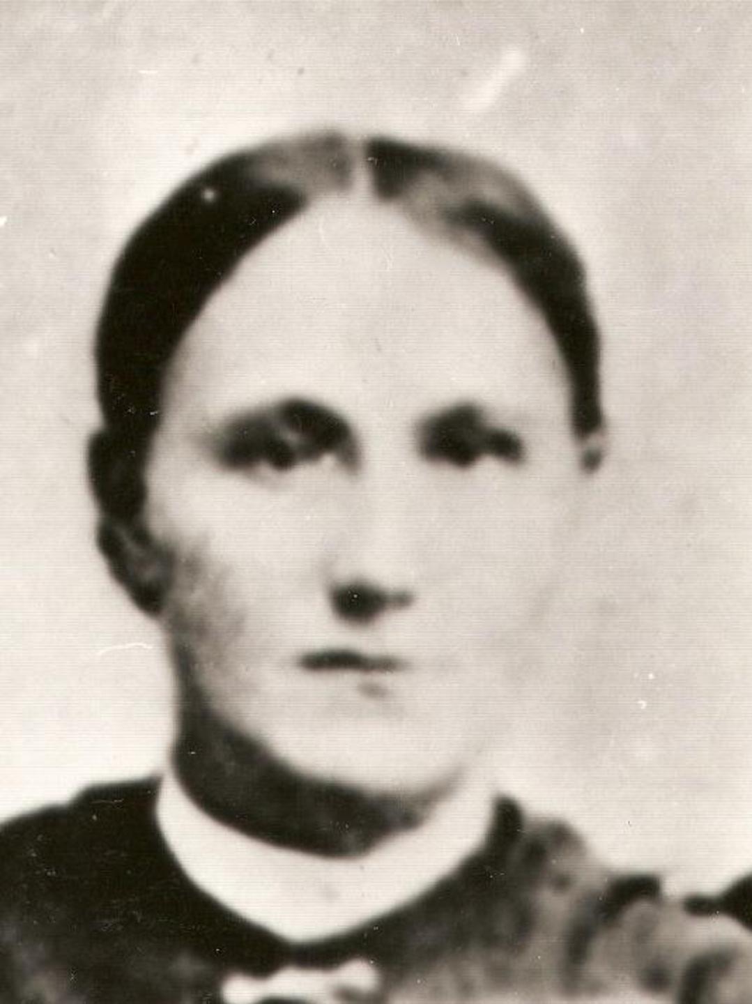 Elsie Marie Anderson (1852 - 1939) Profile